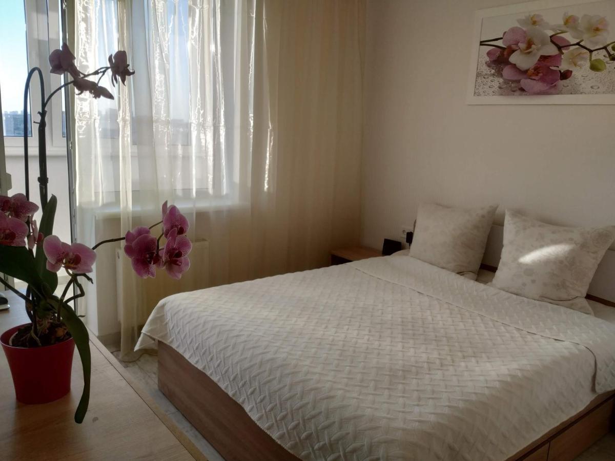 Apartment Kiev Studio With City View Kültér fotó